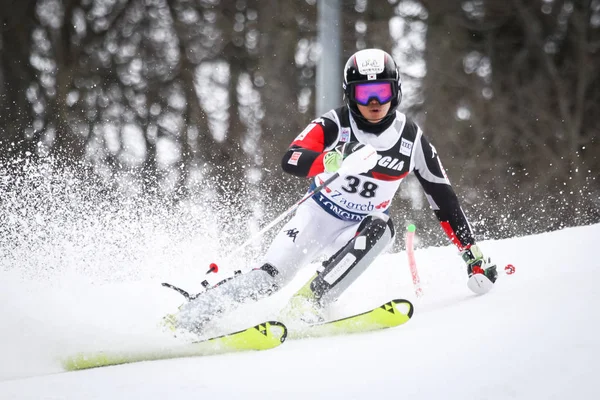 Audi Fis World Cup Mens Slalom — Stockfoto