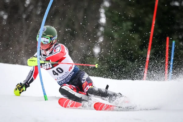 Audi Fis World Cup Mens Slalom — Stockfoto