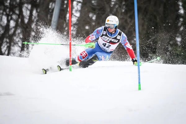 Audi Fis světový pohár Pánská Slalom — Stock fotografie