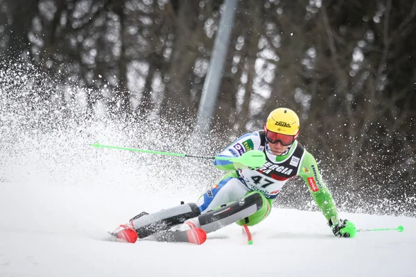 Audi Fis World Cup Mens Slalom — Stockfoto