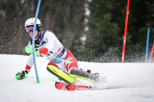 Audi FIS World Cup Mens Slalom — Stock Photo, Image