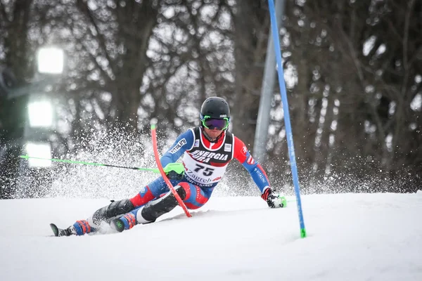 Audi FIS World Cup Masculino Slalom — Fotografia de Stock