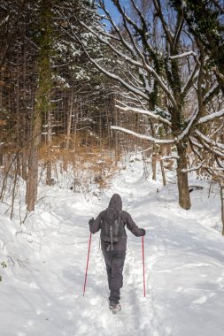 Karlı dağ adam uzun yürüyüşe çıkan kimse