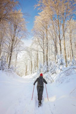 Karlı dağ adam uzun yürüyüşe çıkan kimse