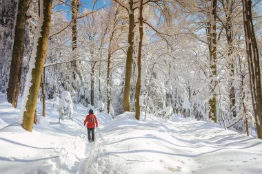 Karlı dağ adam uzun yürüyüşe çıkan kimse