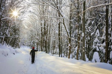 Karlı dağ adam uzun yürüyüşe çıkan kimse