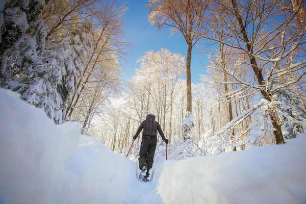 Az ember egy havas hegy látványában gyönyörködő — Stock Fotó