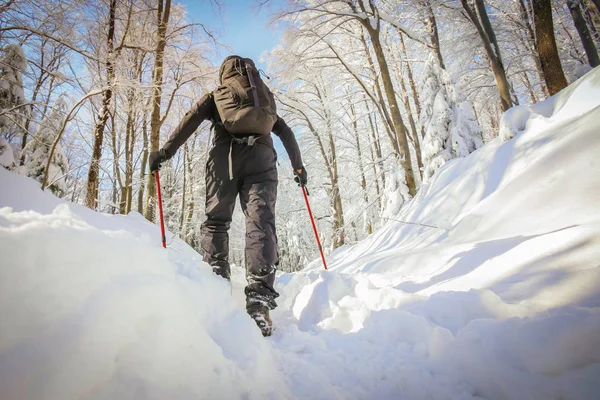 Mannen hiker på en snöig berg — Stockfoto