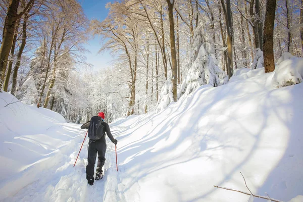 Mannen hiker på en snöig berg — Stockfoto