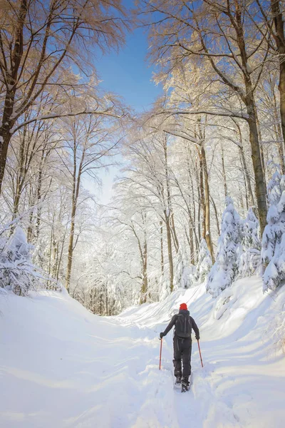 Homme randonneur sur une montagne enneigée — Photo