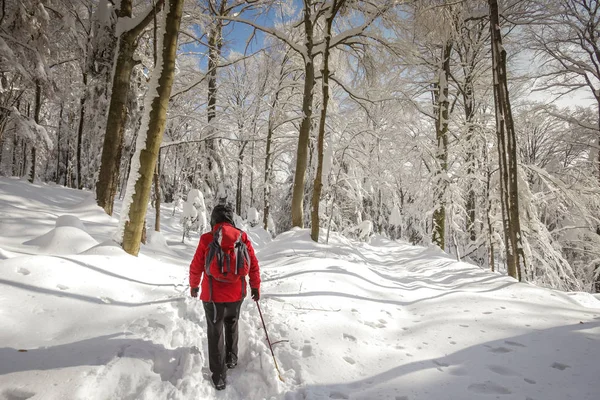 Mannen hiker på en snöig berg — Stockfoto