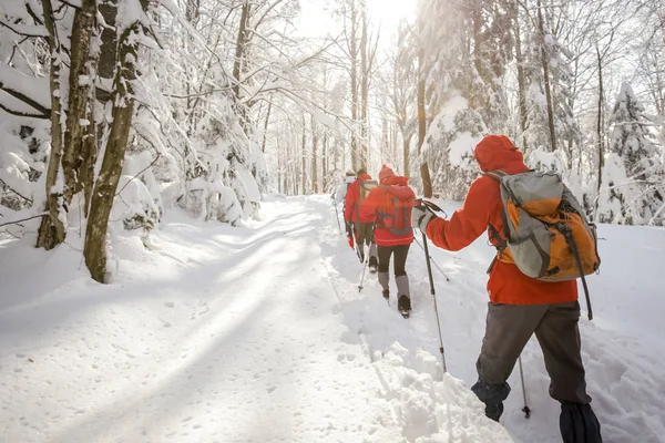 Mannen hiker på en snöig berg — Stockfoto