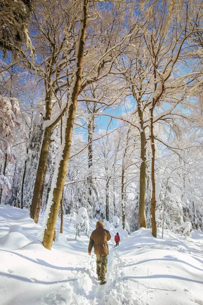 Homme randonneur sur une montagne enneigée — Photo