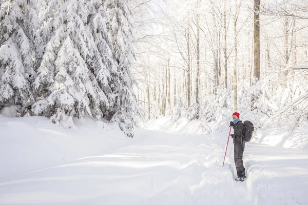 Természetjáró gyaloglás-ra egy havas hegy — Stock Fotó