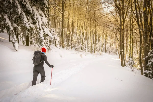 Hiker promenader på en snöig berg — Stockfoto