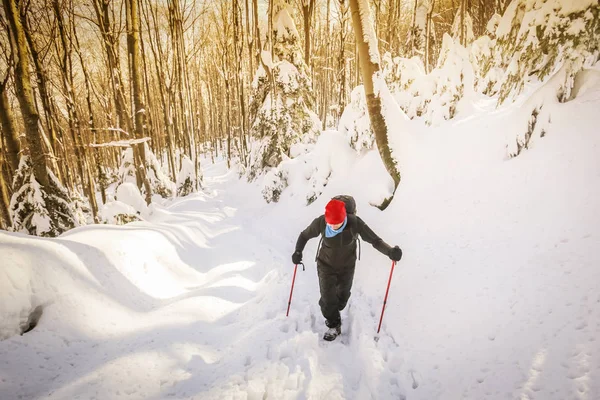 Hiker promenader på en snöig berg — Stockfoto