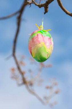 Paskalya yumurtaları ve ağaç üzerinde dekore edilmiş