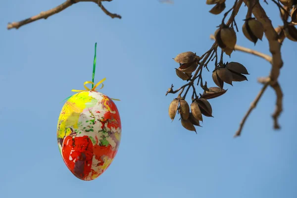 Oeufs de Pâques décorés sur l'arbre — Photo