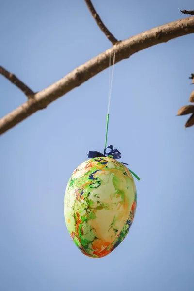 Ovos de Páscoa decorados na árvore — Fotografia de Stock