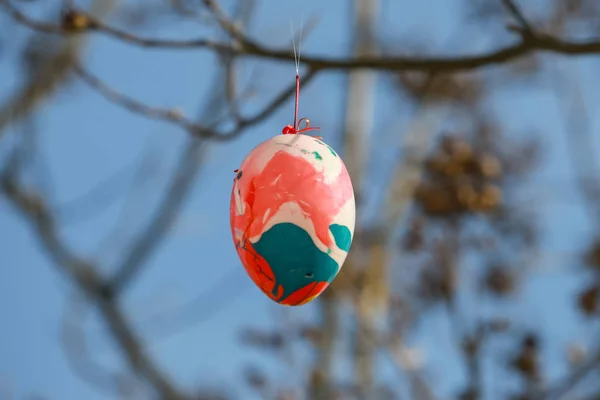 Oeufs de Pâques décorés sur l'arbre — Photo