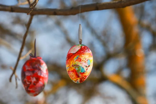 Huevos de Pascua decorados en el árbol — Foto de Stock