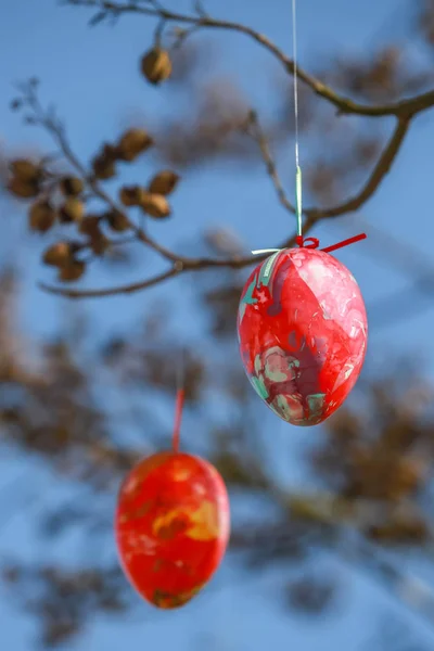 Ovos de Páscoa decorados na árvore — Fotografia de Stock