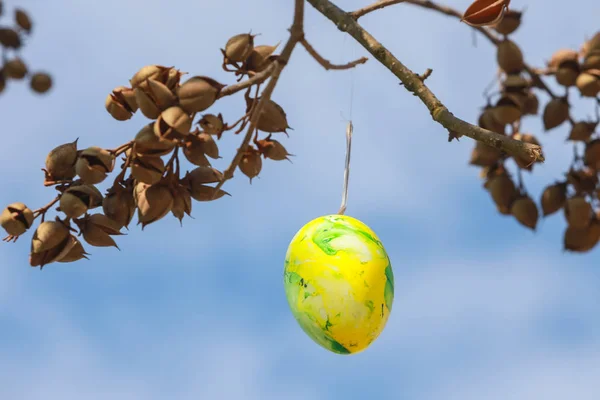 Paskalya yumurtaları ve ağaç üzerinde dekore edilmiş — Stok fotoğraf