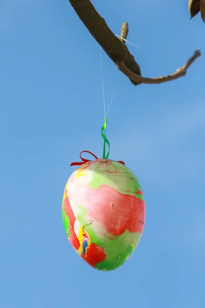 Huevos de Pascua decorados en el árbol — Foto de Stock