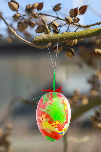 Huevos de Pascua decorados en el árbol — Foto de Stock