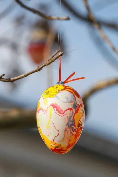 Huevos de Pascua decorados en el árbol — Foto de Stock