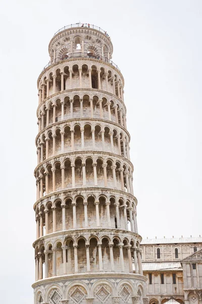 Pisa tower — Stock Photo, Image