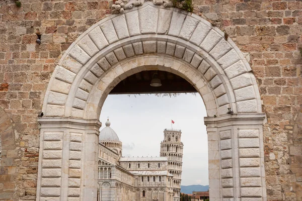 Pisa tower — Stock Photo, Image