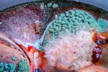 Siyah zeytinlerin üzerine konmuş küf