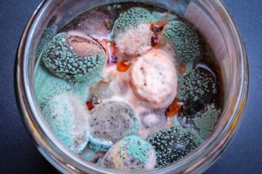 Siyah zeytinlerin üzerine konmuş küf