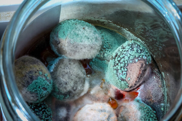 Mold deposited on black olives