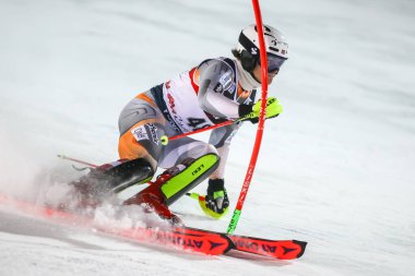 Audi Fis Kayak Dünya Kupası 2020 Mens Slalom 2. tur 