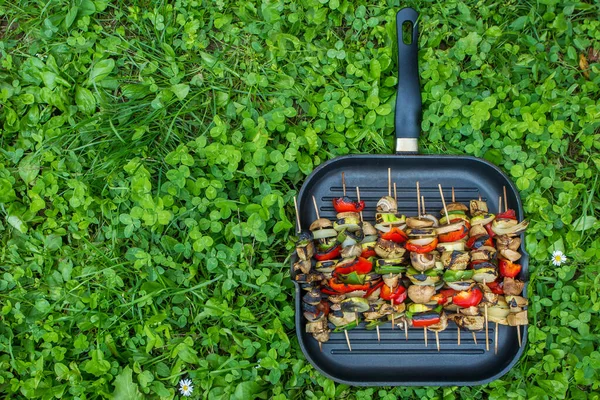 草の上にある金属鍋に野菜串を焼き — ストック写真