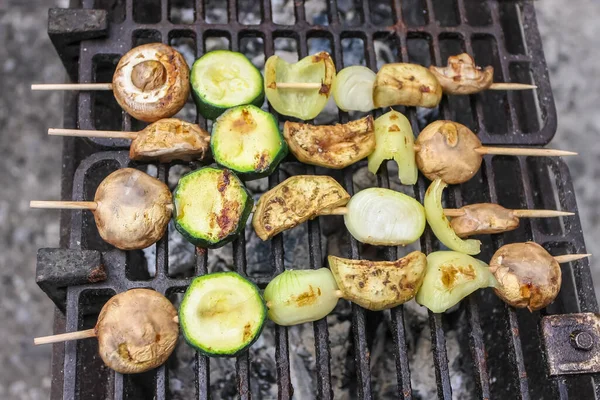 Rostlinné Špejle Grilující Grilu — Stock fotografie