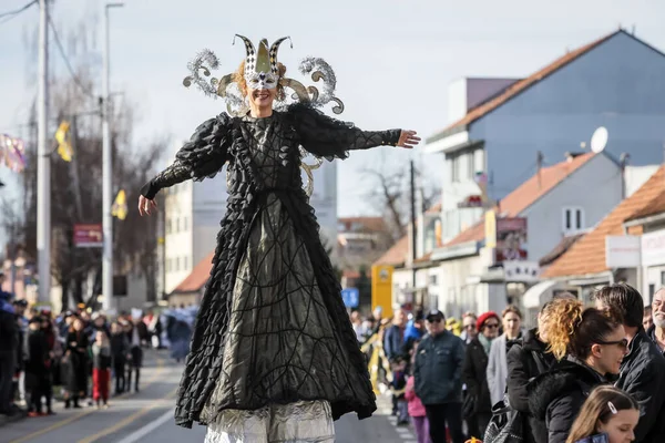 Velika Gorica Kroatië Februari 2020 Carnavalsoptocht Gaat Door Hoofdstraat Van — Stockfoto