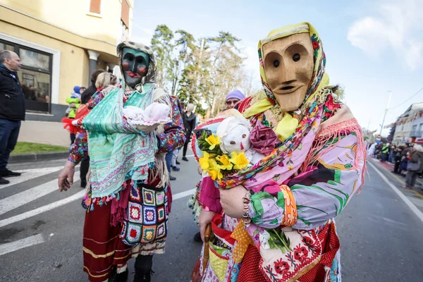 Velika Gorica Croatia Feb 2020 Carnival Parade Passes Main Street — Stock Photo, Image