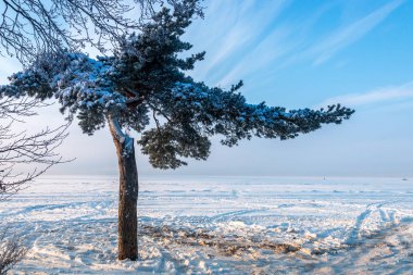 Kanlısırt'ta kış.