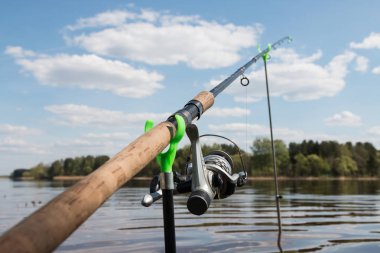 olta kamışı Nehri kıyısında