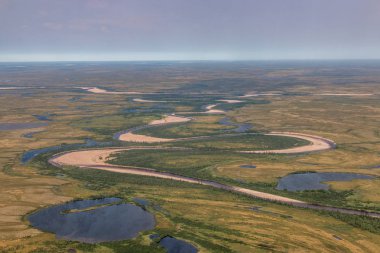 Tundra yukarıdan fotoğrafı.