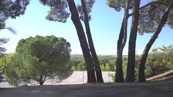 Wunderbarer Ruhiger Ort Madrid Spanien — Stockvideo