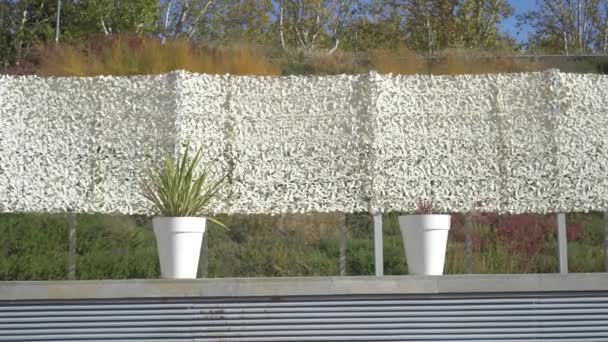 Two Flowerpots Standing Wall Windy Day — Stock Video
