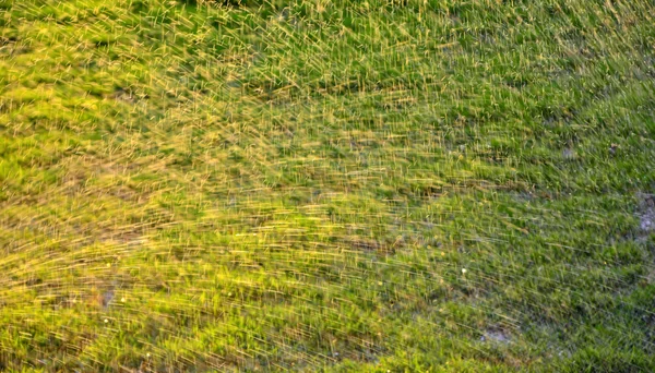 Vatten sprinkler upplyst av solen — Stockfoto