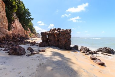 Pipa Beach Brezilya en ünlü plajlarından biridir