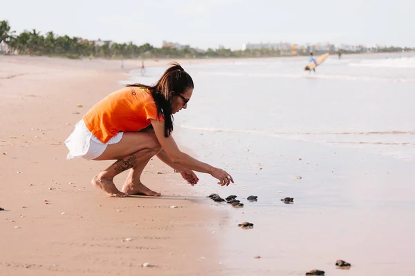 Cabedelo, pisklęta Żółw szylkretowy Paraíba, Brazylia - 15 maj 2017 - dopuszczone do morza przez wolontariuszy programu ochrony żółwia - Ngo Guajiru — Zdjęcie stockowe