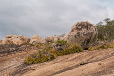 Lajedo de Pai Mateus caati içinde bir ünlü rock oluşumdur
