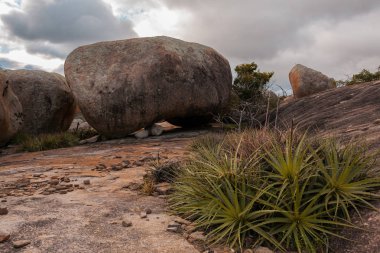Lajedo de Pai Mateus caati içinde bir ünlü rock oluşumdur